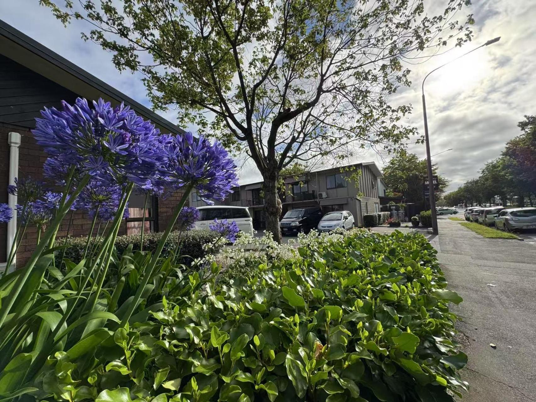 Abbey Motor Lodge Christchurch Zewnętrze zdjęcie